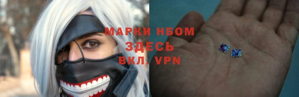 прущие грибы Баксан