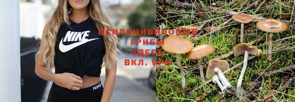 марки nbome Арсеньев