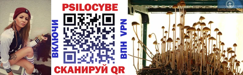 Купить  Стрежевой  Галлюциногенные грибы мицелий 